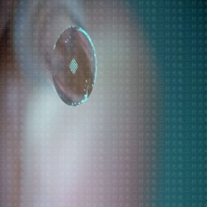 Custom 25cores glass ferrule optic fiber pigtail