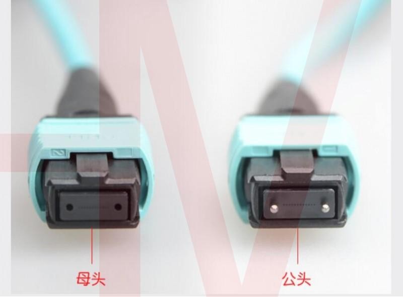 MPO type optic fiber patchcord - Image 11